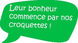 image-slide-3