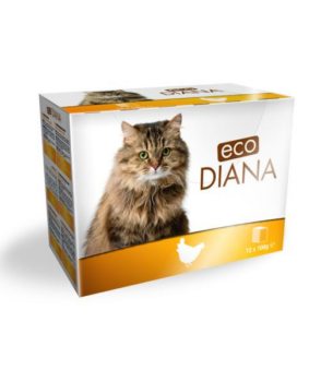 12*100G POCHONS ECO DIANA POULET