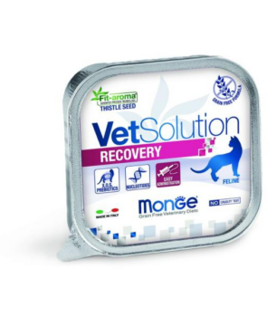 VET BARQ. CAT RECOVERY 100 G