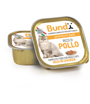 BARQUETTE BUNDY POULET 90 GR