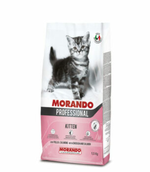 Morando Professionnel Gatto Kitten Pollo/Salmone